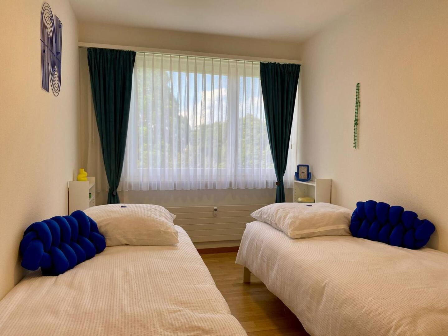Apartment Arnold บาเซิล ภายนอก รูปภาพ